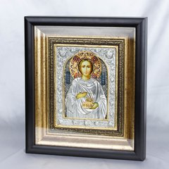 Фото Икона Святой великомученик и целитель Пантелеймон icon011