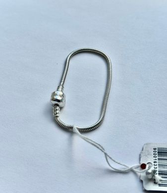Срібний браслет для шармів "Forever", 17